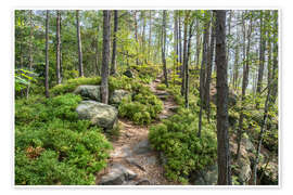 Poster Hiking in Saxon Switzerland - Jan Christopher Becke