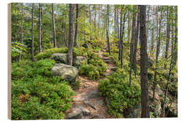 Holzbild Wandern in der Sächsischen Schweiz