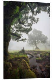 Akrylglastavla Enchanted Forest Kingdom - André Wandrei
