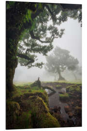 Aluminium print Enchanted Forest Kingdom - André Wandrei