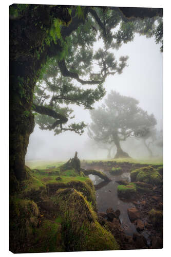 Canvas print Enchanted Forest Kingdom
