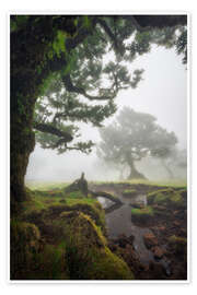 Wall print Enchanted Forest Kingdom - André Wandrei