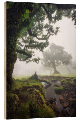 Holzbild Verzaubertes Waldreich