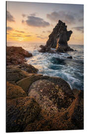 Aluminium print Natural wonders by the sea - André Wandrei