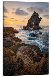 Canvas print Natural wonders by the sea - André Wandrei