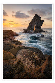 Wall print Natural wonders by the sea - André Wandrei