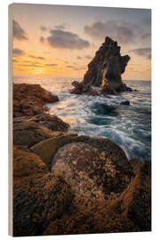 Holzbild Naturwunder am Meer - André Wandrei