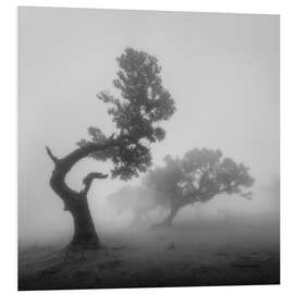 Hartschaumbild Geisterbäume im Nebel