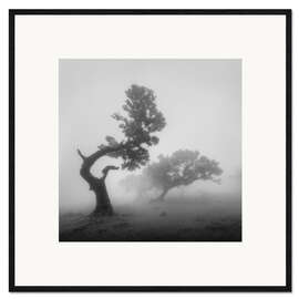 Gerahmter Kunstdruck Geisterbäume im Nebel