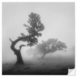 Wall sticker Ghost trees in the fog