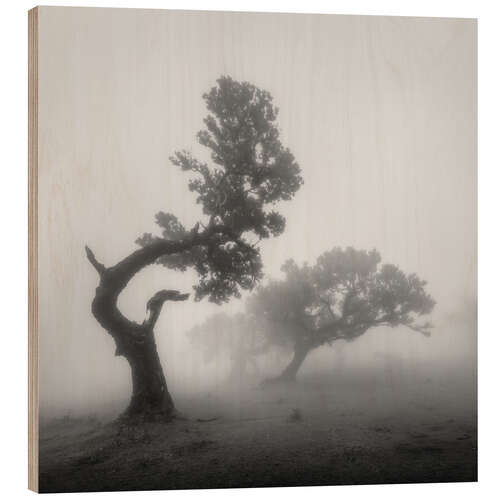 Trätavla Ghost trees in the fog