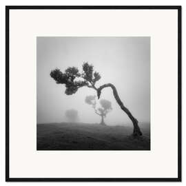 Gerahmter Kunstdruck Baumgestalten im Nebel