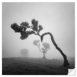 Wall sticker Tree shapes in the fog