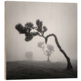 Obraz na drewnie Tree shapes in the fog - André Wandrei