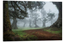 Acrylic print Mystical morning in the forest - André Wandrei