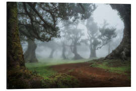 Aluminiumsbilde Mystical morning in the forest