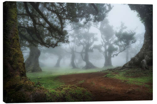 Tableau sur toile Mystical morning in the forest