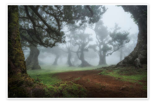 Poster Mystical morning in the forest