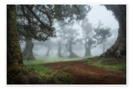 Wall print Mystical morning in the forest - André Wandrei