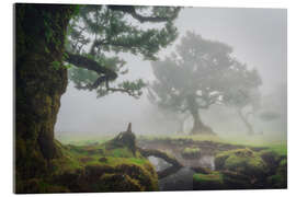 Acrylic print The whispering of the trees - André Wandrei