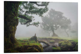 Alubild Das Flüstern der Bäume - André Wandrei