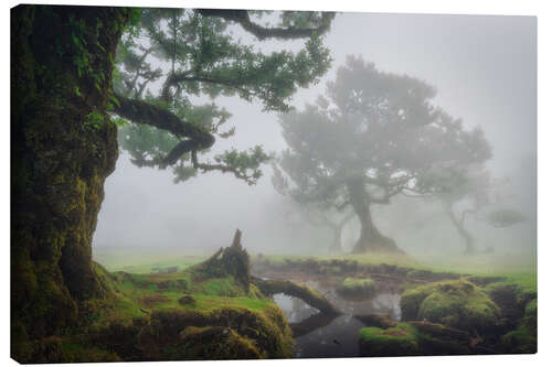 Tableau sur toile The whispering of the trees