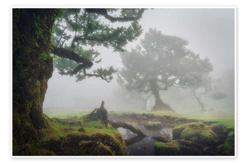 Poster The whispering of the trees