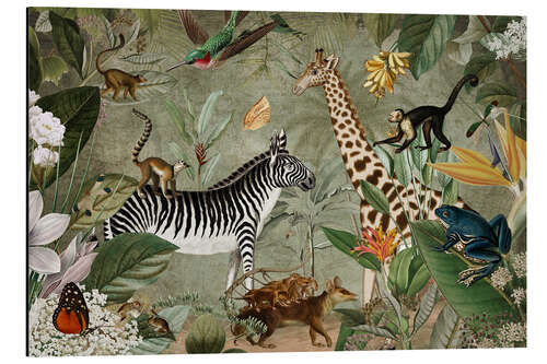 Aluminium print African animals in the wild jungle