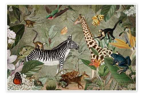 Poster African animals in the wild jungle