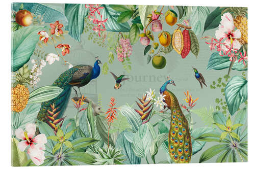Akryylilasitaulu Exotic peacocks in the Jungle II