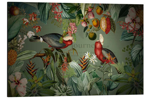 Alumiinitaulu Parrots in the Exotic Night Jungle