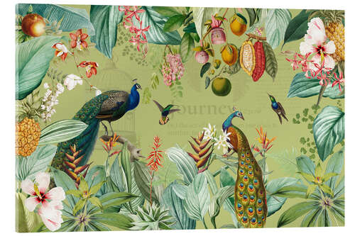 Tableau en verre acrylique Exotic peacocks in the Jungle III