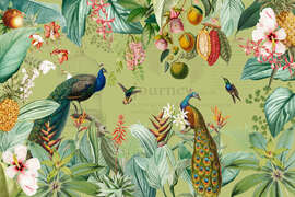 Magnettafel Exotische Pfauen im Dschungel III