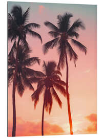Cuadro de aluminio Palms on sunset
