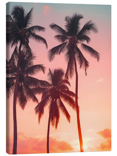 Canvas print Palms on sunset