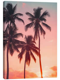 Canvas print Palms on sunset