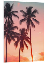 PVC-taulu Palms on sunset