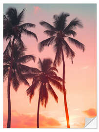 Autocolante decorativo Palms on sunset