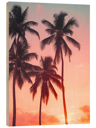 Obraz na drewnie Palms on sunset