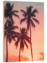 Obraz na drewnie Palms on sunset