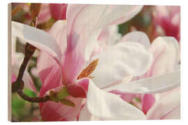 Holzbild Magnolie, Blütenzauber im Frühling - Atteloi