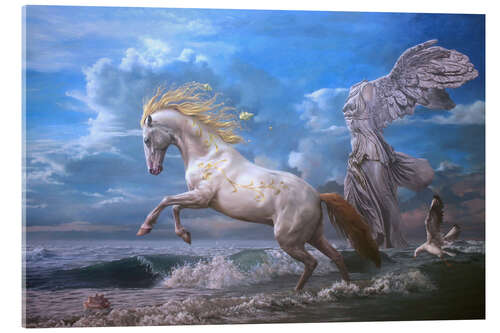 Acrylglas print White Horse Victory