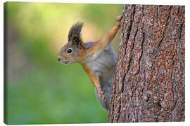Lienzo Squirrel - GUGIGEI