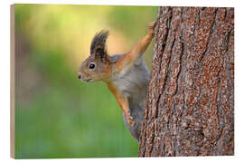 Tableau en bois Squirrel - GUGIGEI