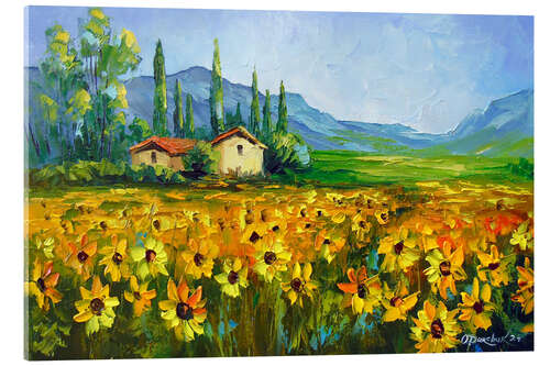 Akrylglastavla Ranch and field of sunflowers