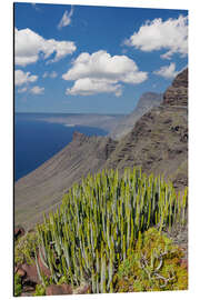 Aluminium print West coast of Gran Canaria - Markus Lange