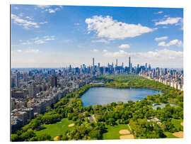 Tableau en plexi-alu New York Central Park