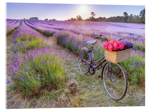 Acrylic print Bicycle on Lavender Field