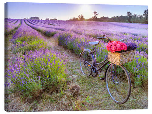 Canvas print Bicycle on Lavender Field