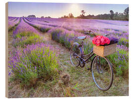 Wood print Bicycle on Lavender Field - Assaf Frank